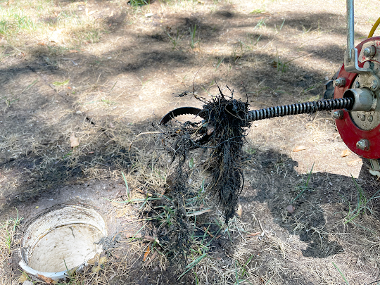 What You Need to Know About Drain Cleaning