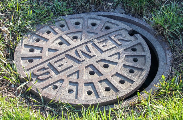 Understanding the Hidden Dangers of Drain and Sewer Line Issues