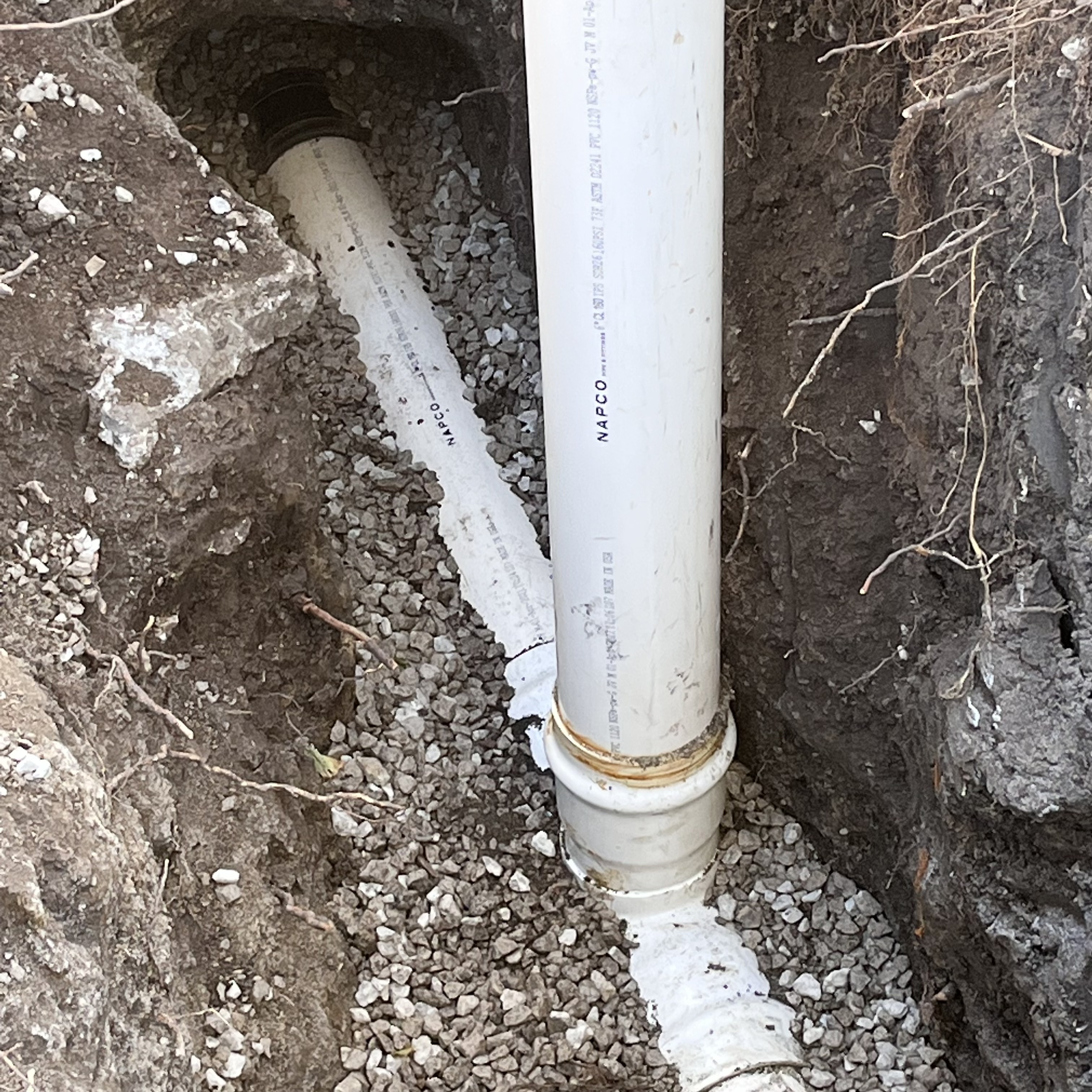 Tips for Avoiding Sewer Line Damage