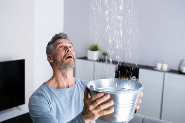 The Urgency of Water Leaks: When to Consider It an Emergency