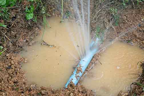 What Causes Sewer Line Leaks?
