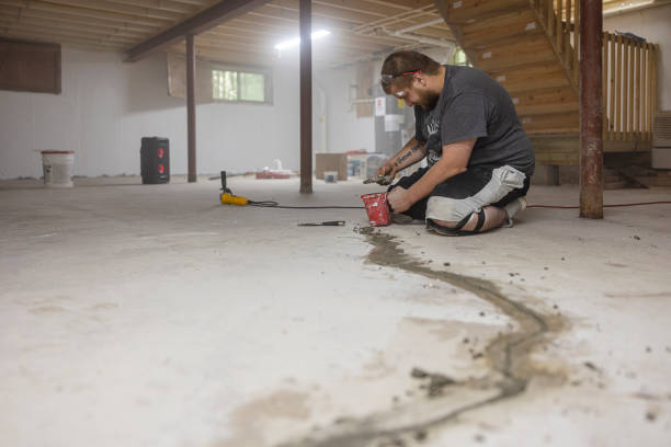 Tips and Tricks for Ensuring a Dry Basement All Year Round
