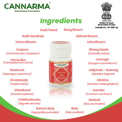 Why You Should Add Manmath Ras Tablets To Your Daily Lifestyle