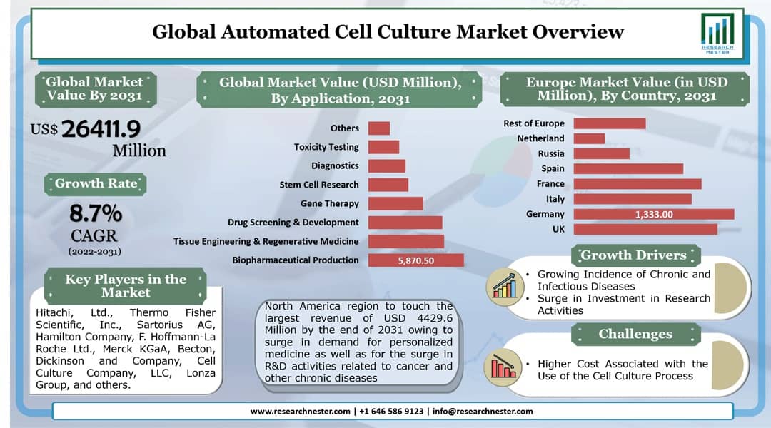 Global Automated Cell Culture Market, Growth and Size, During- 2031
