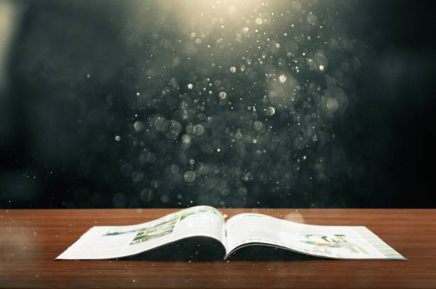 Numerology Name Change 