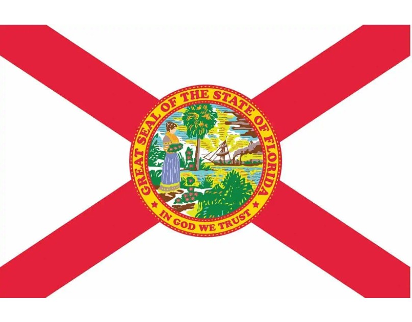 What’s the Difference Between an Sr22 and an Fr44 in Florida