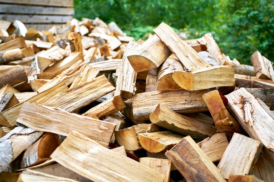 Stay Warm in upcoming winter: Where to Buy Firewood in Ottawa Valley