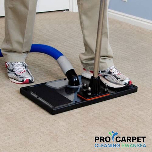 Why carpet cleaning services are important