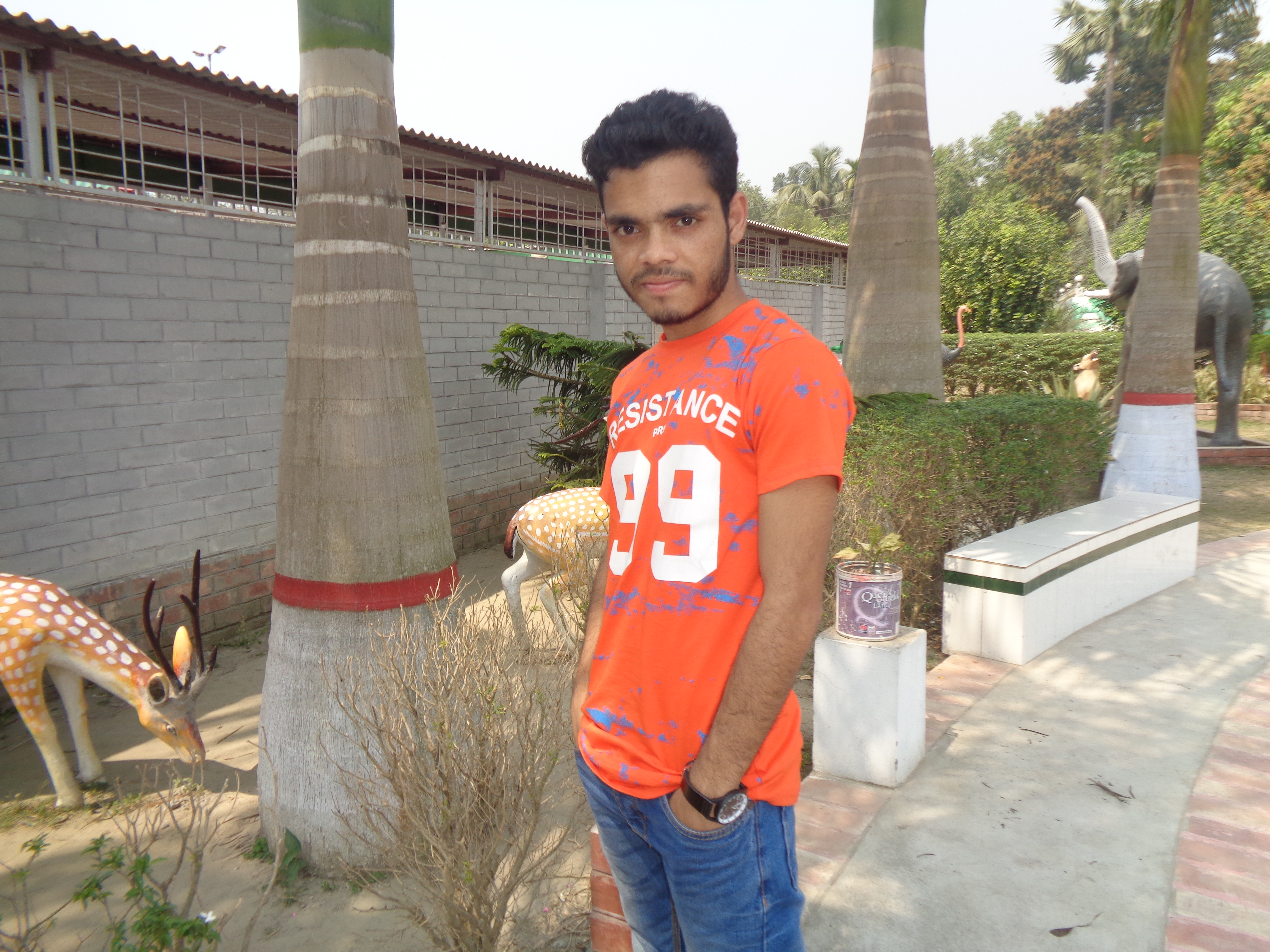 I am Professional Freelancer