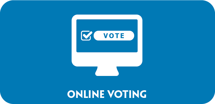 Elections and e-voting: how safe is voting over the Internet?