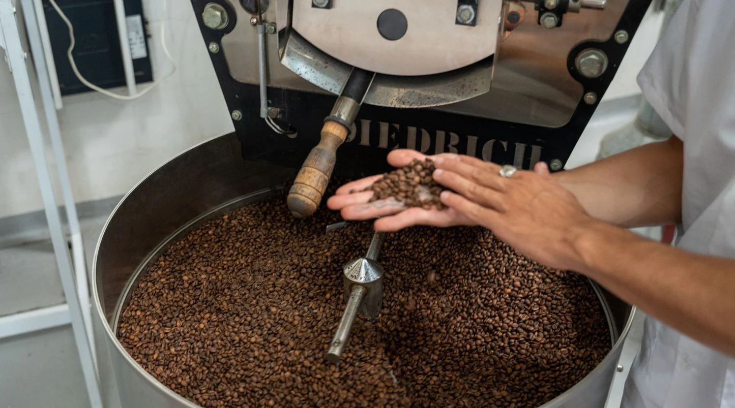 How Gigante Techniflavour is Reshaping the Coffee Landscape in Australia
