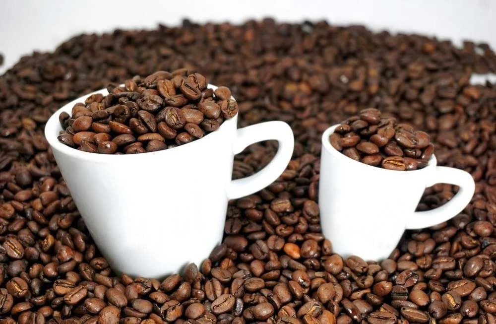Wholesale Rate Coffee Beans in Melbourne with Gigante Techniflavor