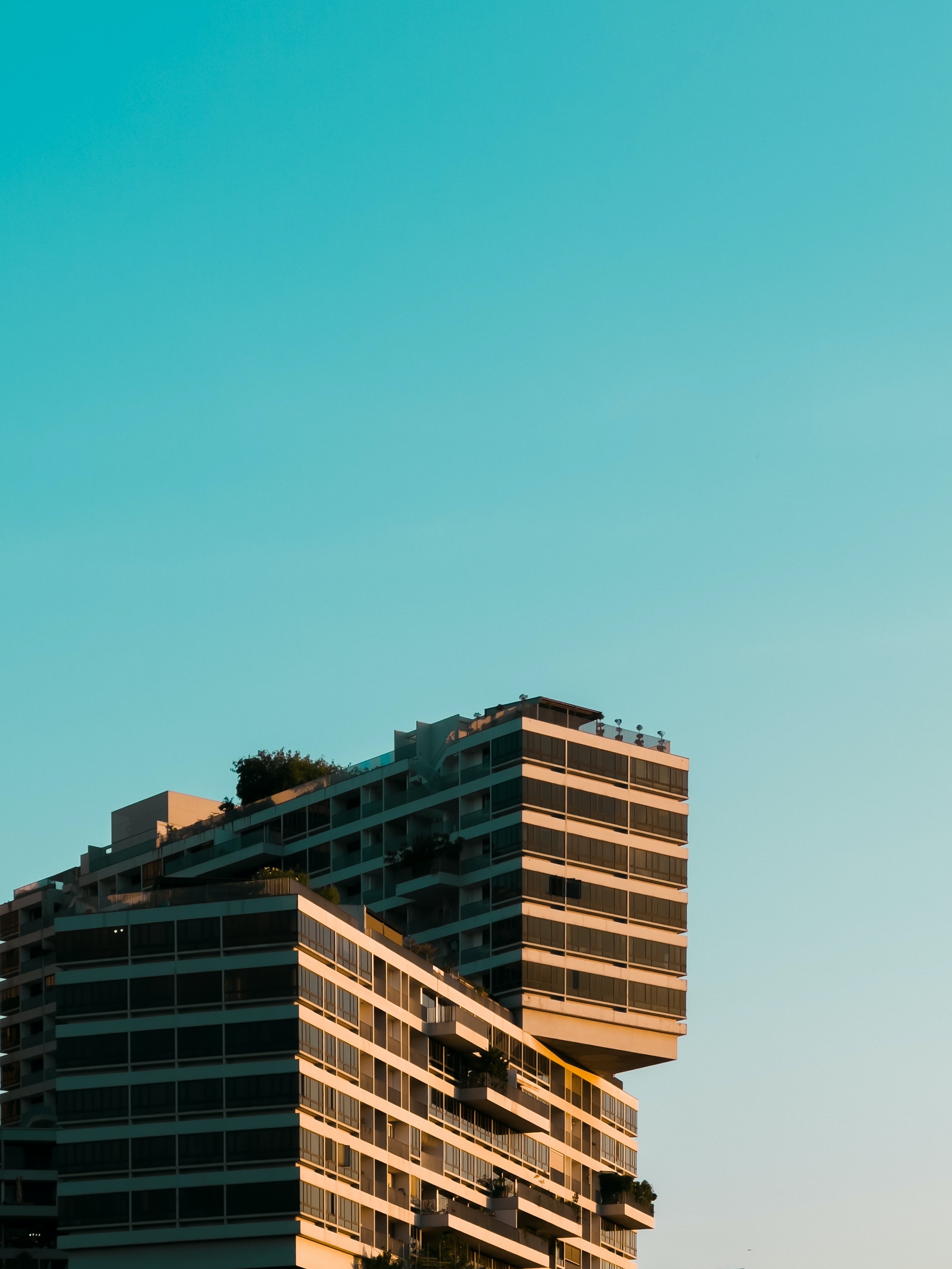 XBRL vs. Traditional Filing: A Comparative Analysis