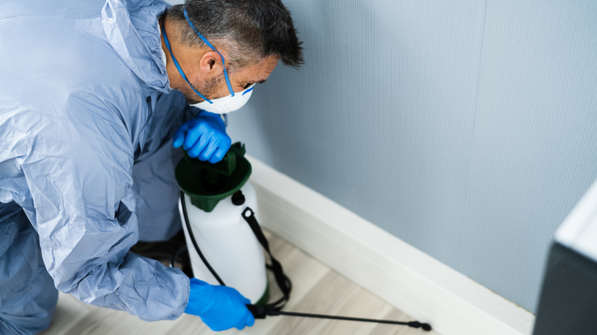 The 5 Best Tips To Keep Pests Away This Summer