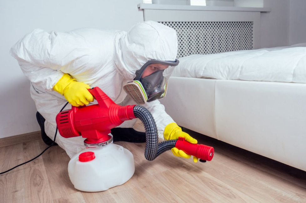 Prevention vs. Treatment: Which Approach Offers Better Cost Savings for Pest Control?