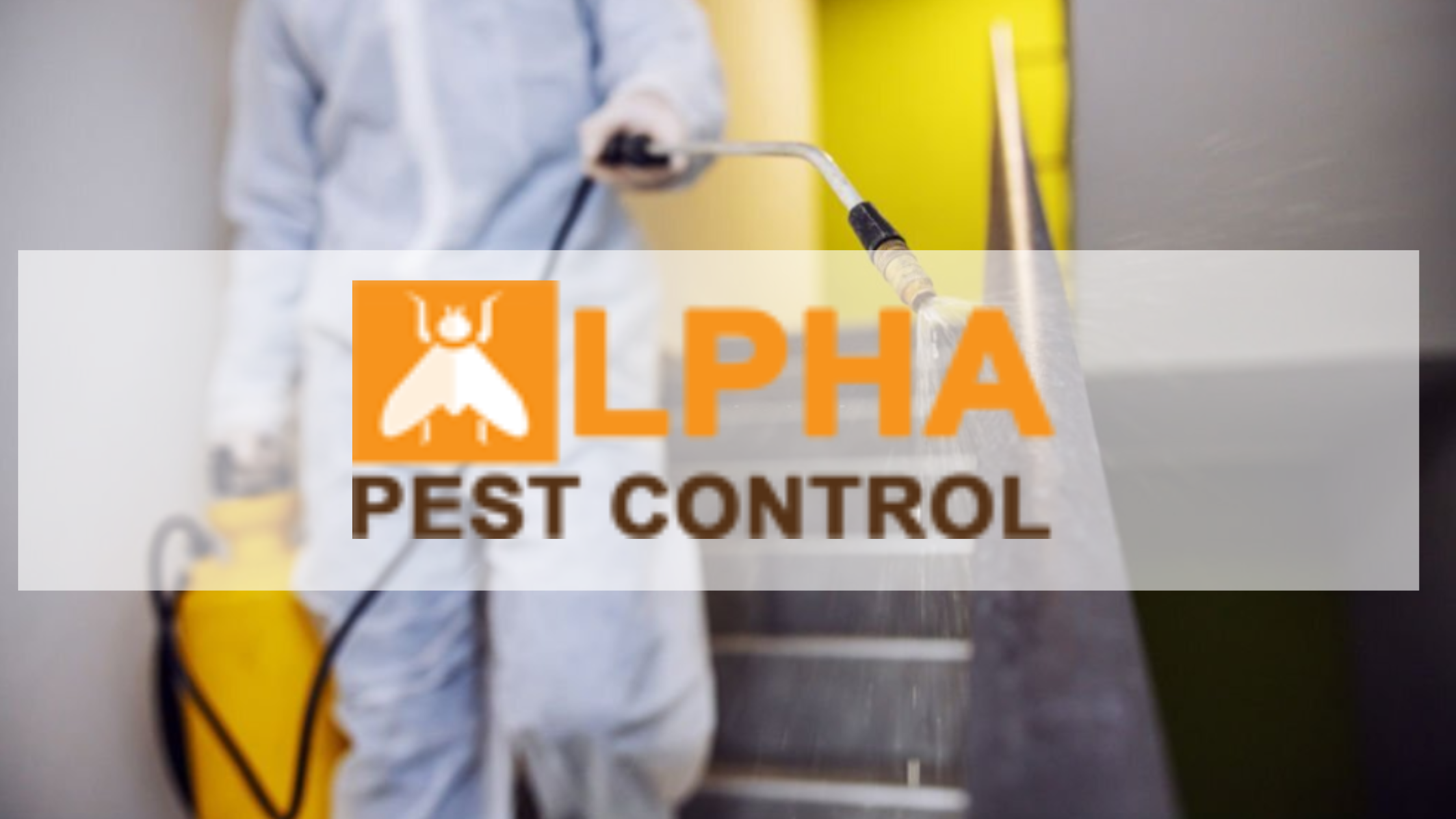 12 Tips To Help Keep Dead Animals Away From Your Property