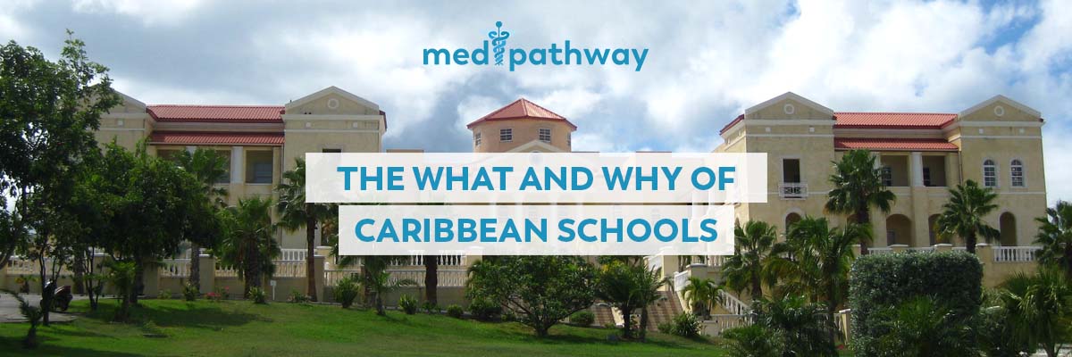 The What and Why of Caribbean Schools