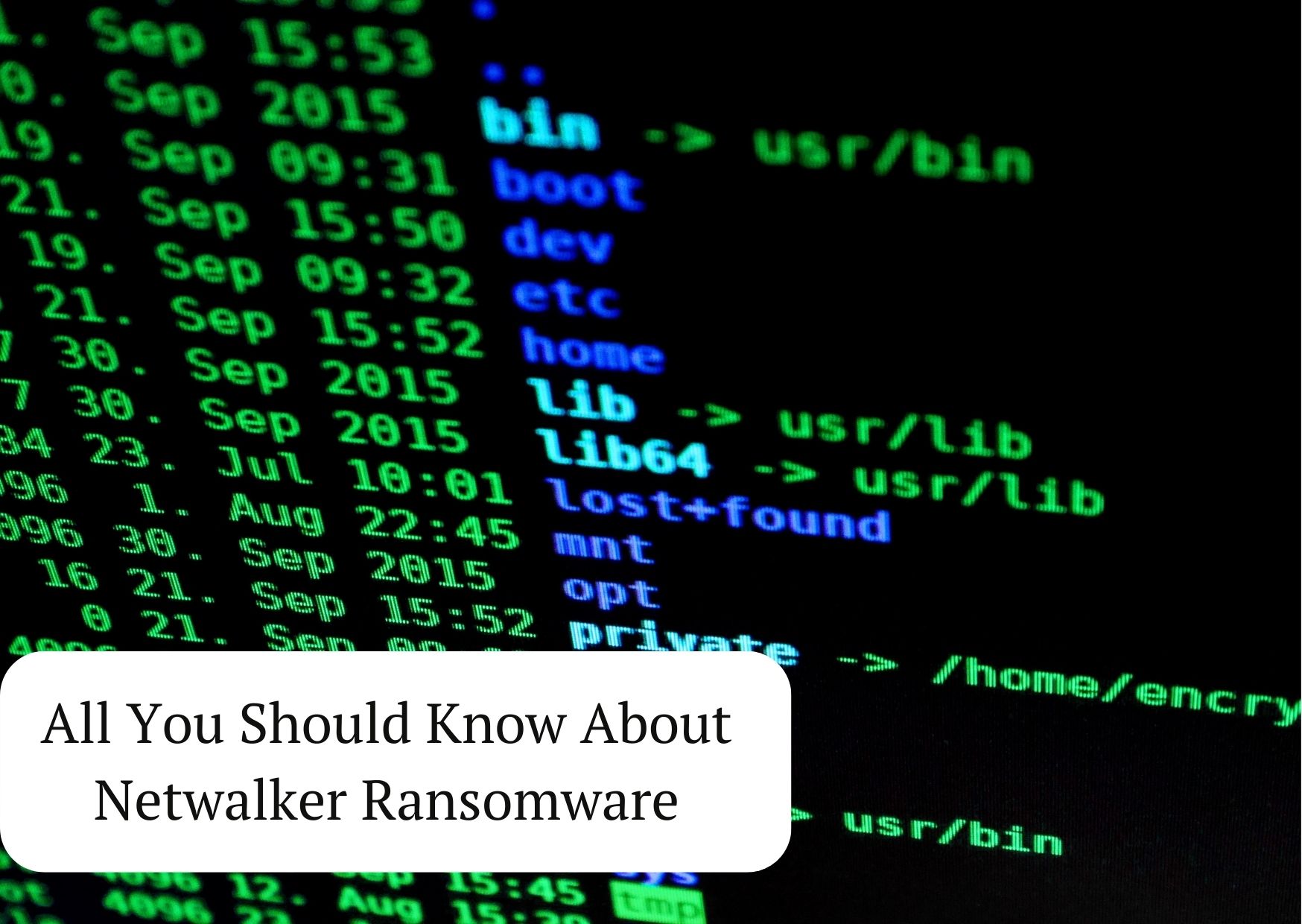 Here's What you Need to Know About Netwalker Ransomware