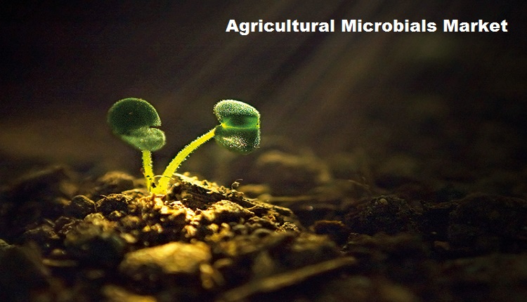 Agricultural Microbials Market Gains From Global Bio-Agriculture Focus