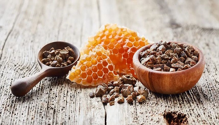 Bee Propolis Extract Market Gains Momentum in Nutraceutical and Pharma Sectors