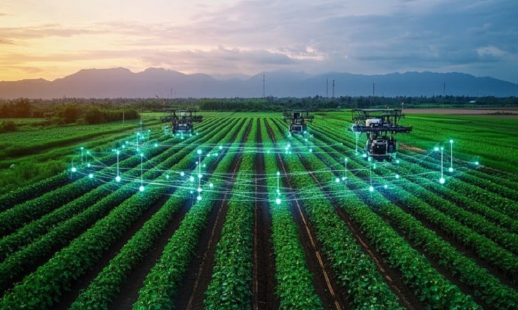 Smart Specialty Crop Farming Market Grows with Advanced Agri-Tech Adoption