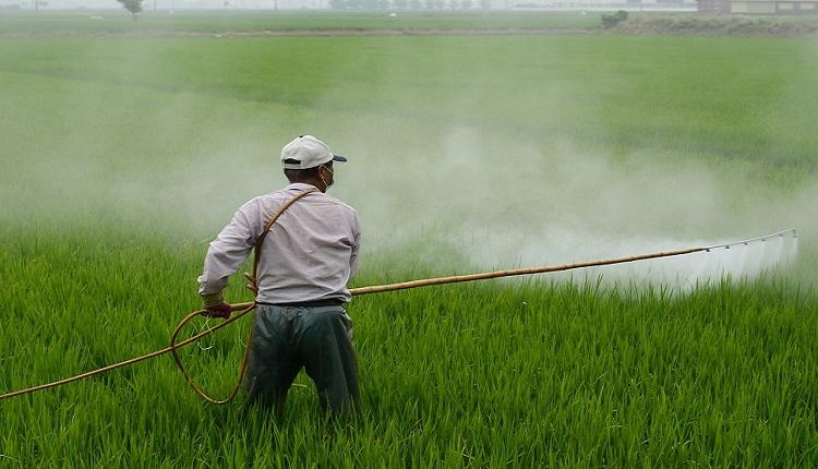 Cypermethrin Insecticide Market Dynamics: IPM Adoption and Horticulture Growth