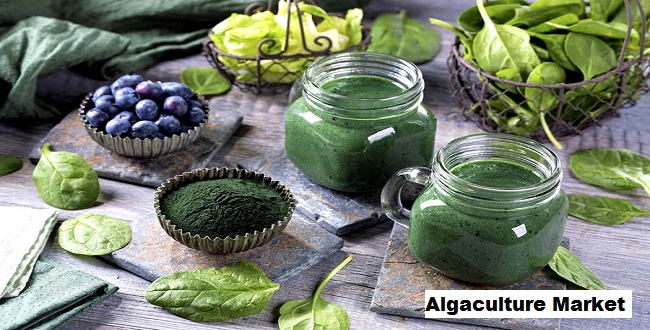 Algaculture Market 2028 By Size, Share, Demand, Growth, Forecast