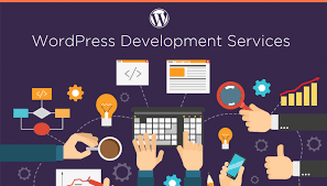 Custom WordPress Development Company