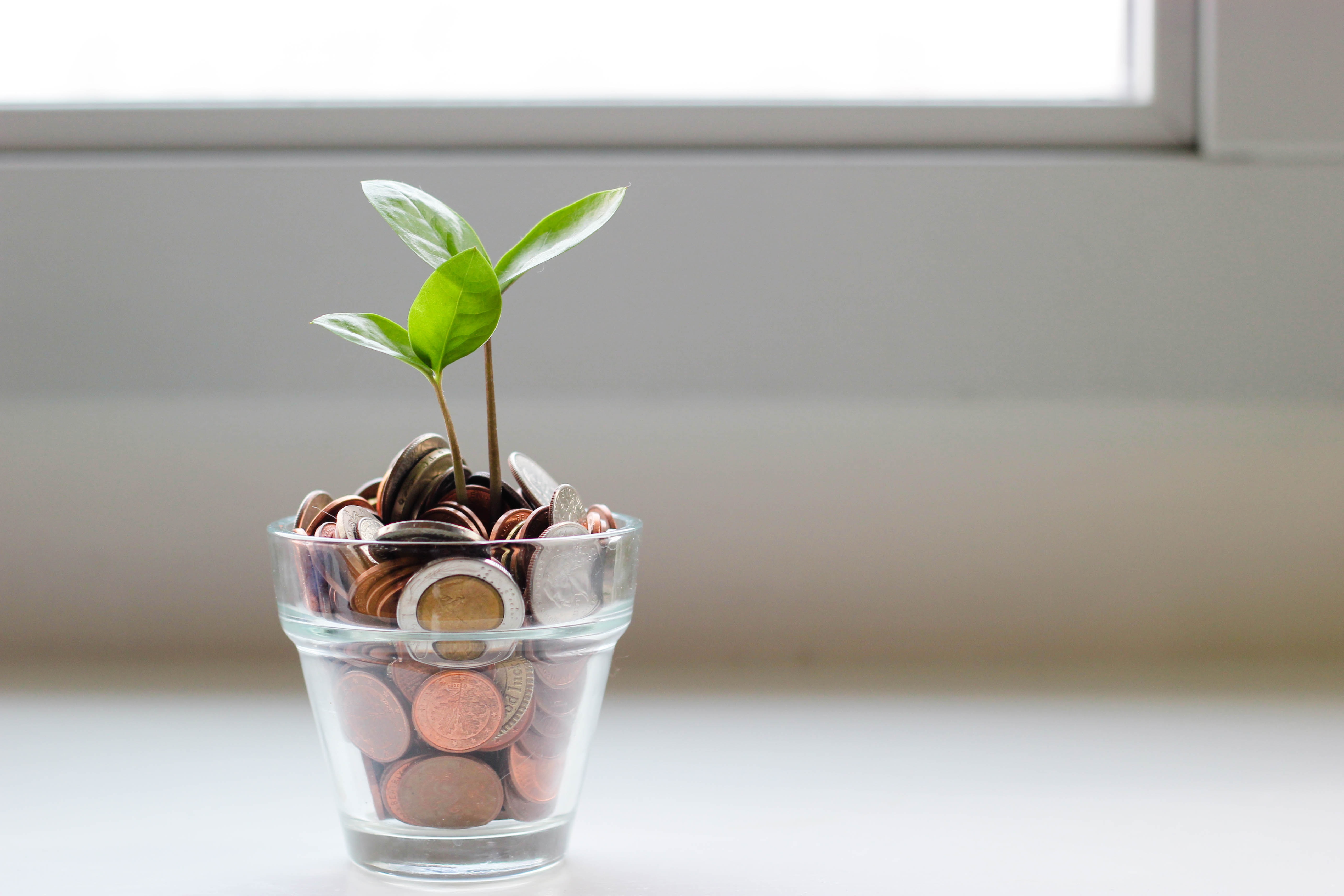 An Examination of The Different Financial Institutions Throughout The World