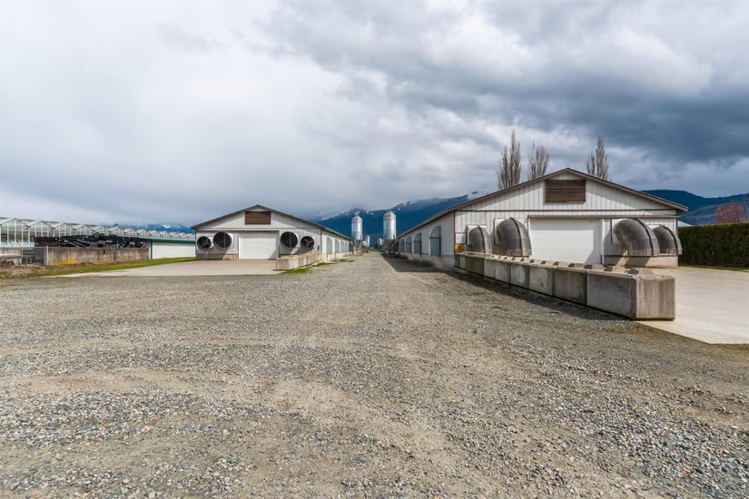The Investment Potential: Why Chilliwack Properties for Sale Are Worth Considering