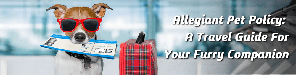 allegiant pet policy