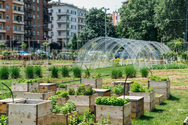 Global Urban Farming Market Size, Trends, Outlook, Opportunity Till 2029