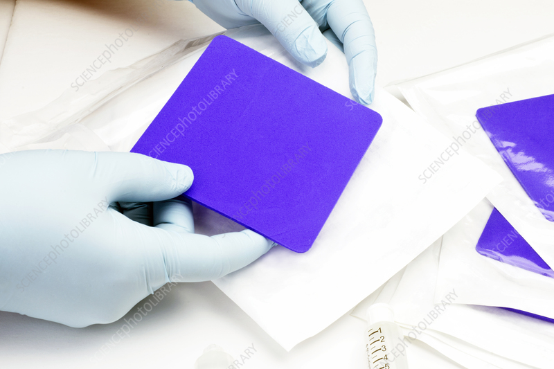 Foam Dressing Market 2029 – Status and Development, Average Product Price and Market Shares of Key Players