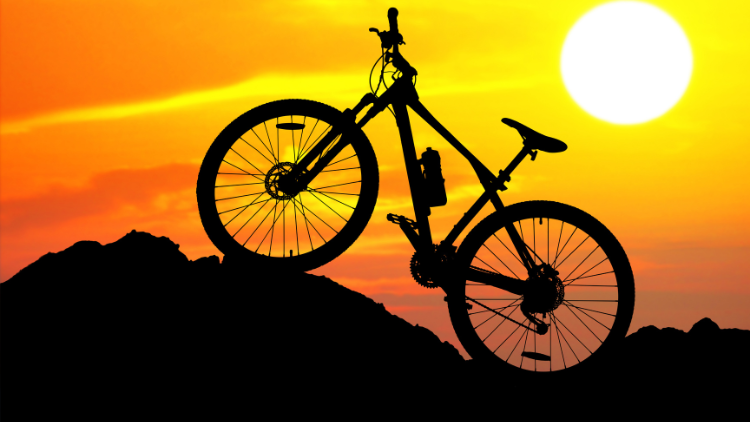 Riding in Style With the Best Bike Brands of the Year