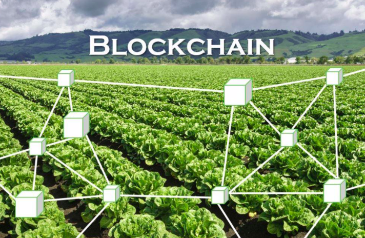 Global Blockchain in Agriculture Market to Witness Growth by a CAGR of 35% throughout 2022 – 2030; High Adoption of Blockchain to Boost the Market Growth