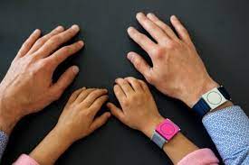 How Epilepsy Monitoring Devices is Booming Worldwide with Latest Trends, Growth, Analysis by 2033?