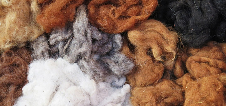 Global Alpaca Fiber Market to Grow by CAGR of ~4% During 2022 – 2031 on the Back of Rising Inclination of Fancy Woolen Clothes