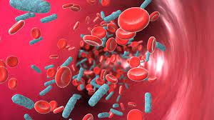 Analysis of Pancreatic Stone Protein Testing Market by Research Nester Reveals the Market to Grow with a CAGR of ~3% During 2023-2033 and Attain ~USD 5 Million by 2033