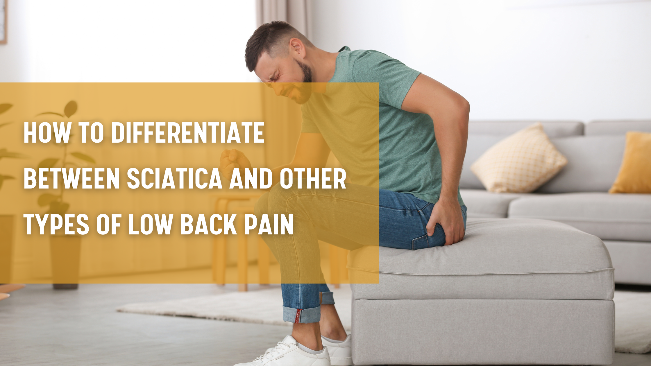 How to differentiate between sciatica and other types of low back pain?