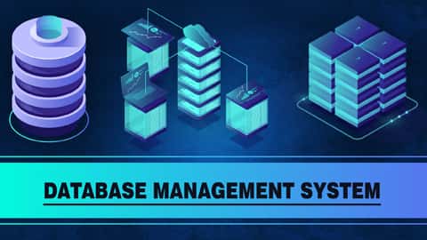 Database Management System Online Courses & Video Lectures