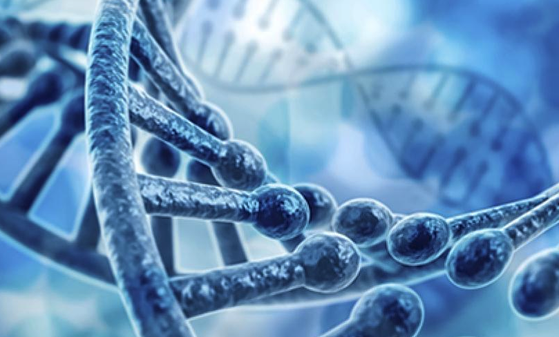 Geneticist email list | Genetics email list | Geneticist mailing list