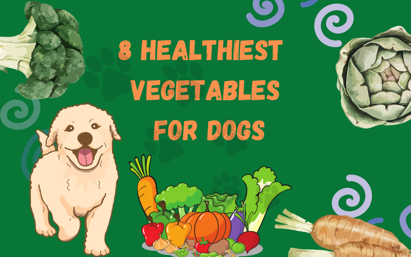 The Eight Healthiest Dog Friendly Vegetables