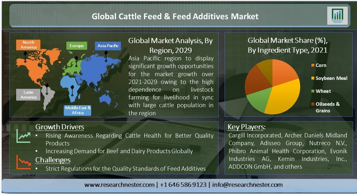Global Cattle Feed & feed Additives Market CAGR during 2021 – 2029