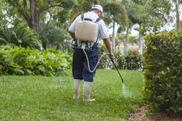 Best Mosquito Control Services near me in Plymouth