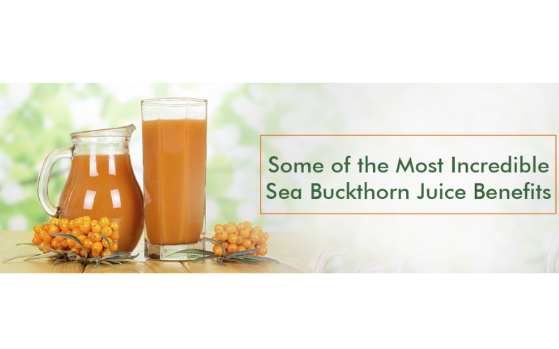 Some of the Most Incredible Sea Buckthorn Juice Benefits