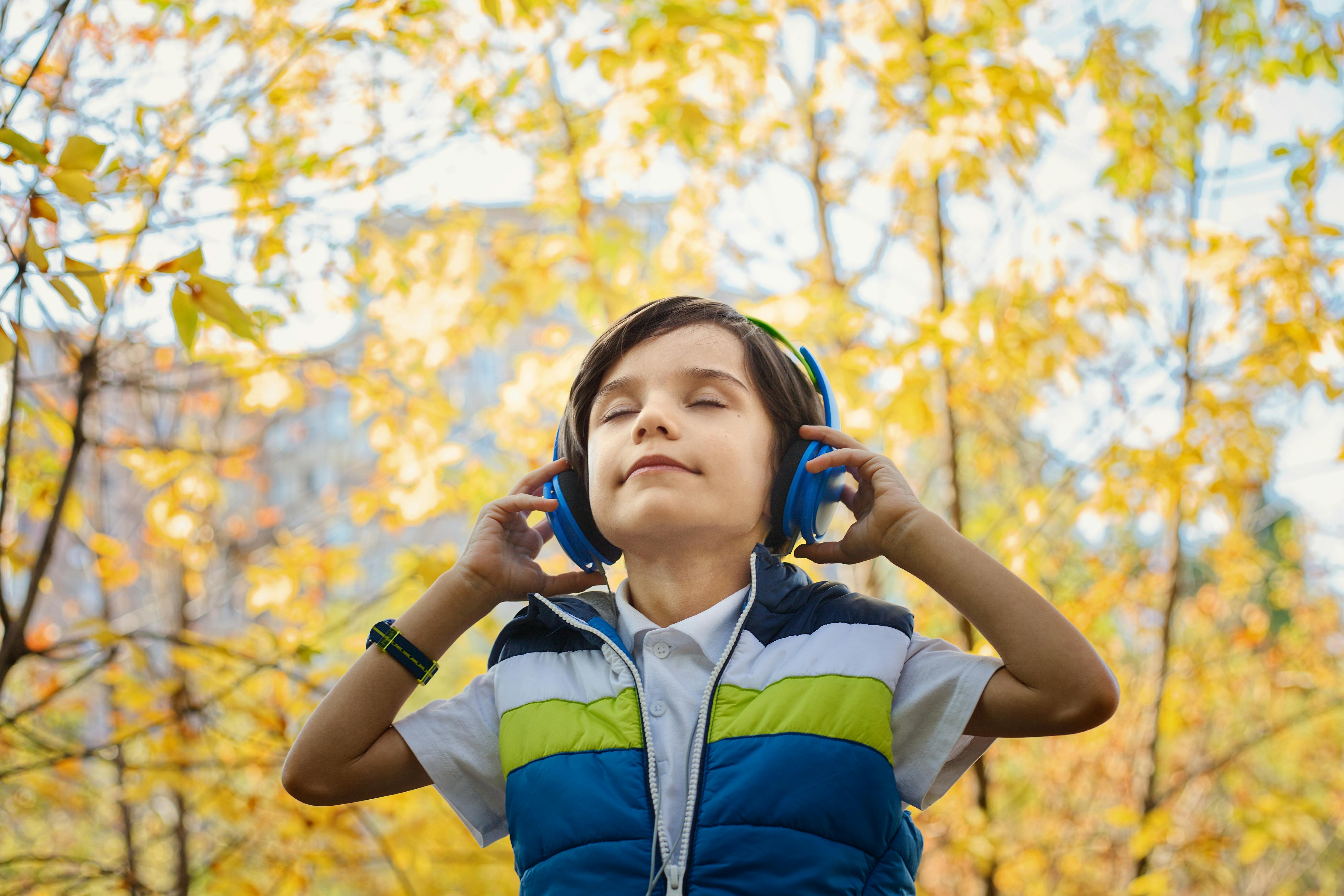 Bluetooth Headphones Market Size, Opportunities And Strategies 2024-2033