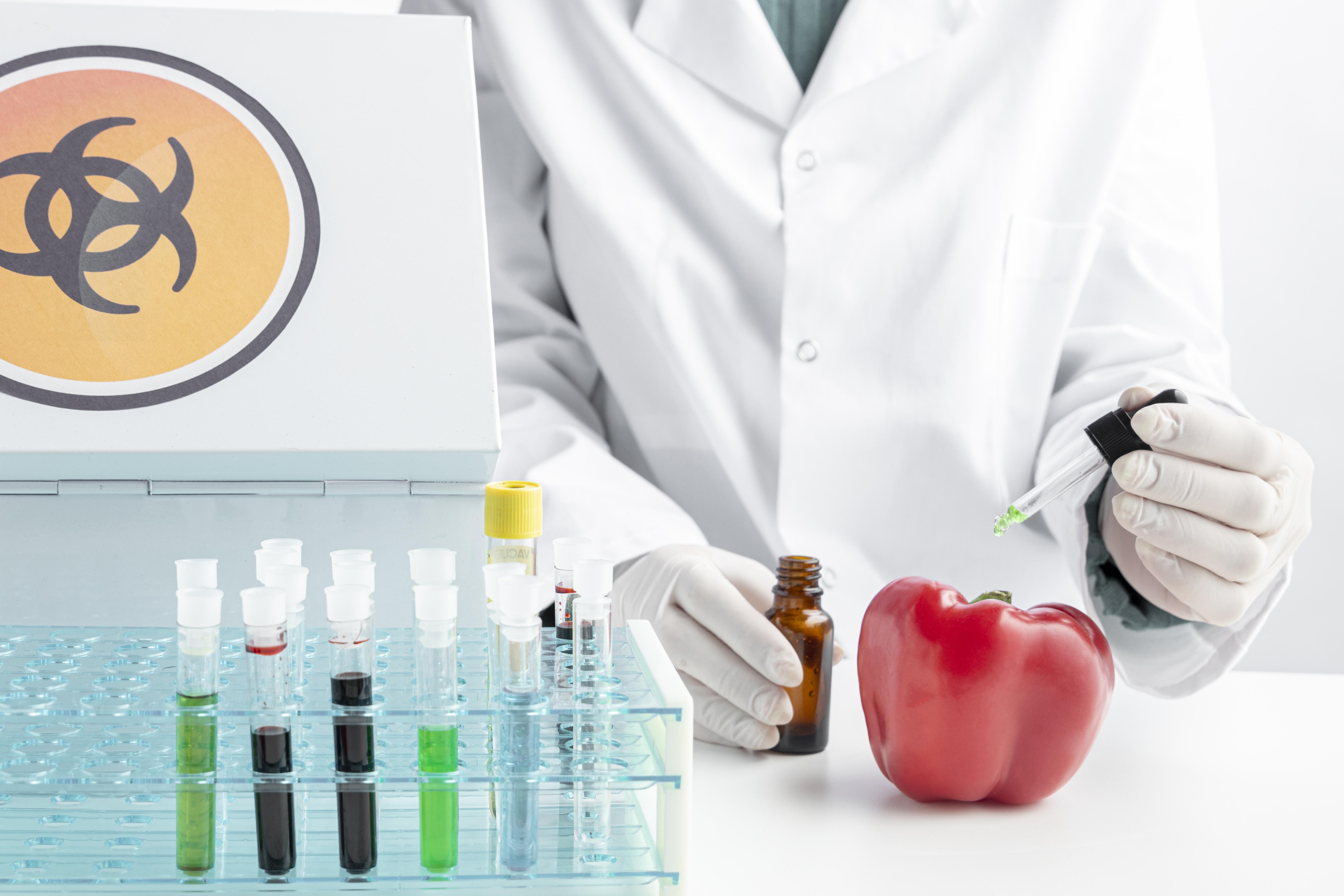 GMO Testing Market Insights, Outlook And Demand 2024-2033