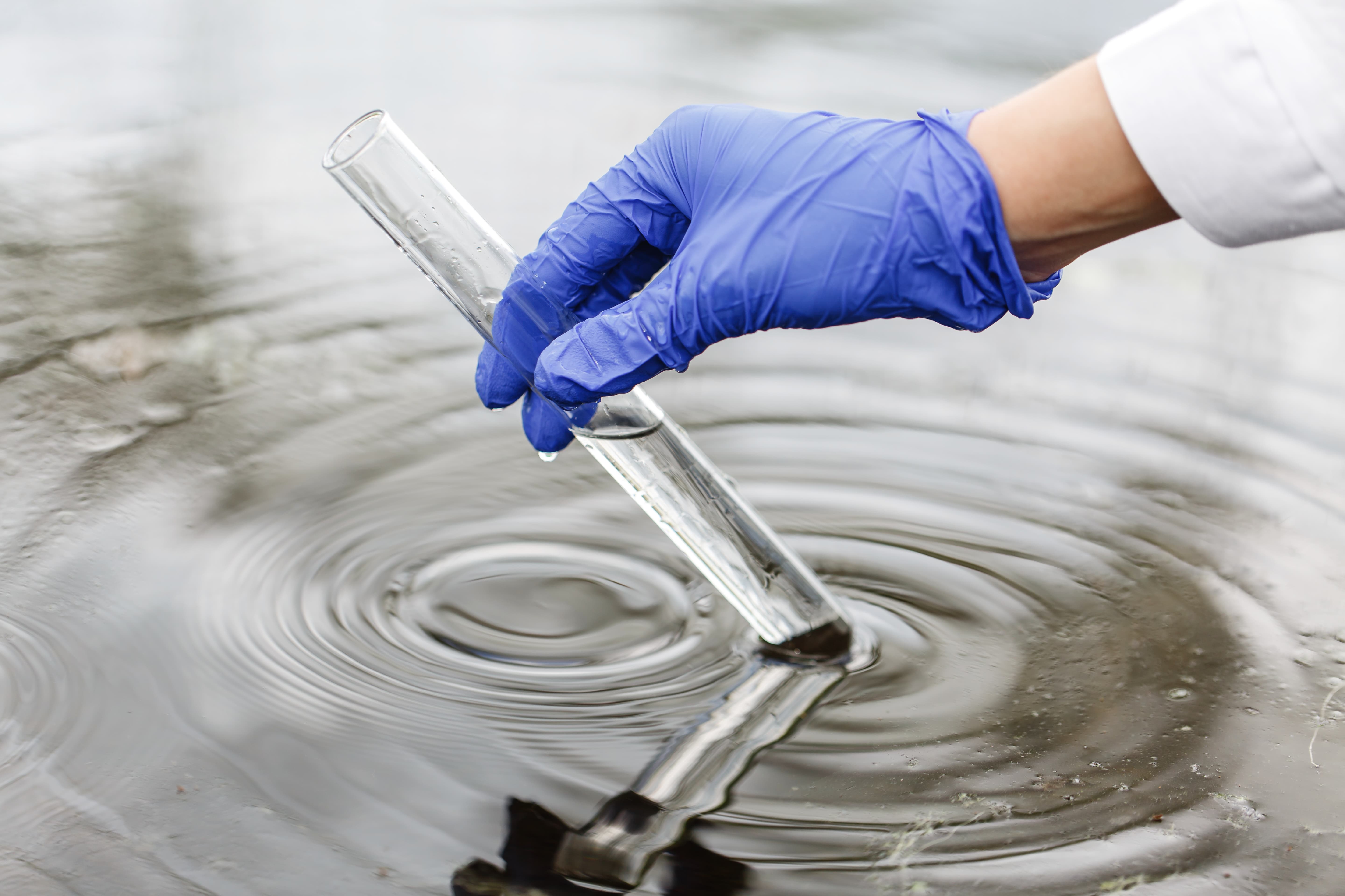 Water Testing And Analysis Market Size, Share, Trends, and Outlook Report 2024-2033
