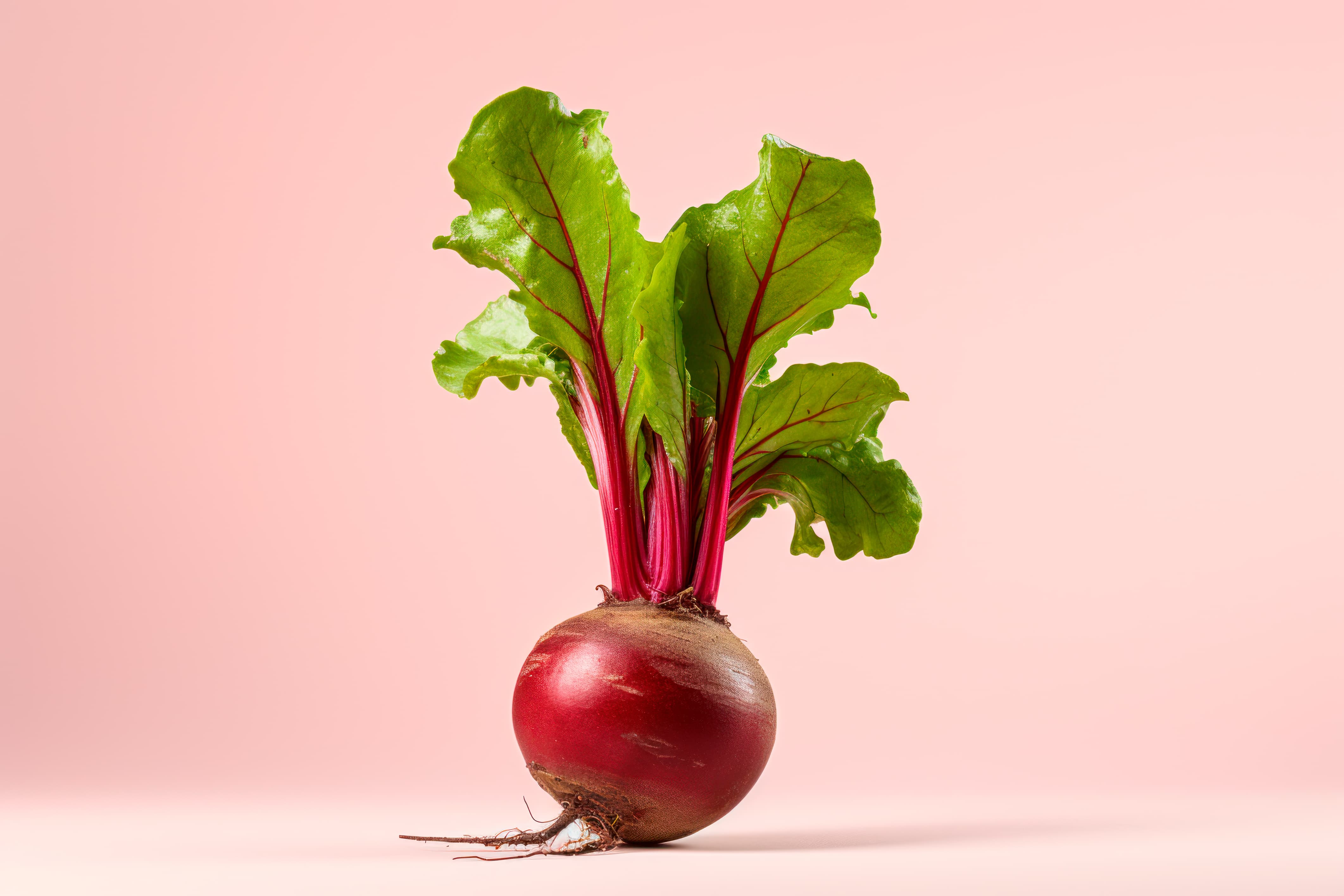 Betaine Market Overview 2024-2033: Share, Size, Insights, Forecast