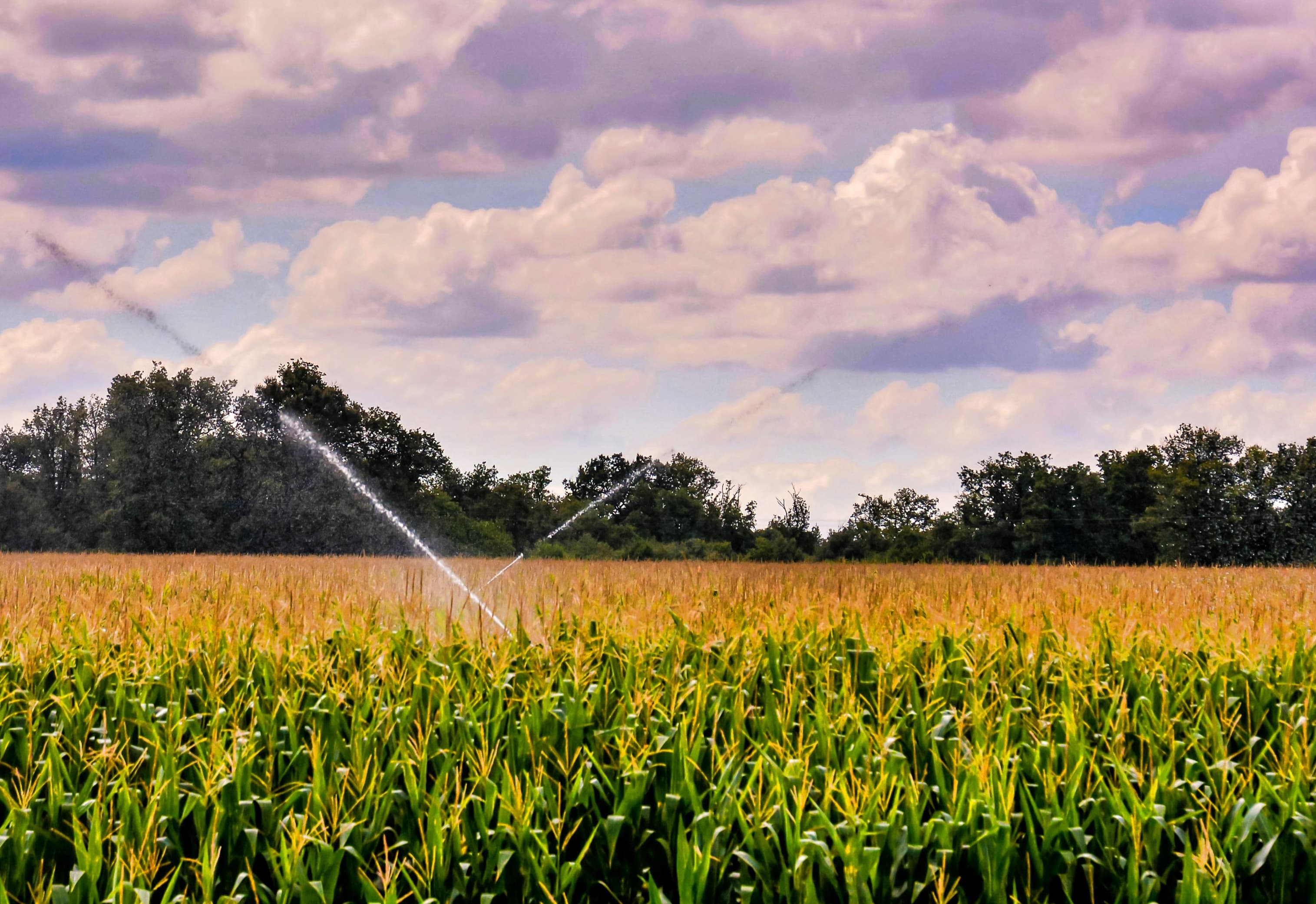 Precision Irrigation Market Insights, Forecast, Growth, Trends 2024-2033